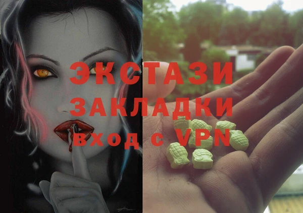 стаф Алзамай