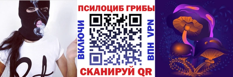 Псилоцибиновые грибы Psilocybe  закладка  мега как войти  Жигулёвск 